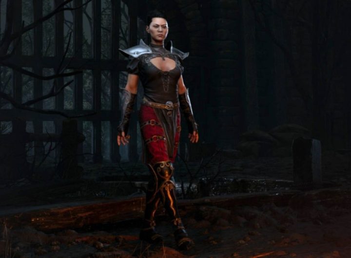 Diablo 2 Assassin Feature