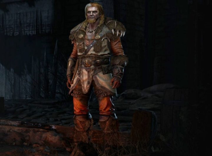 Diablo 2 Druid Feature