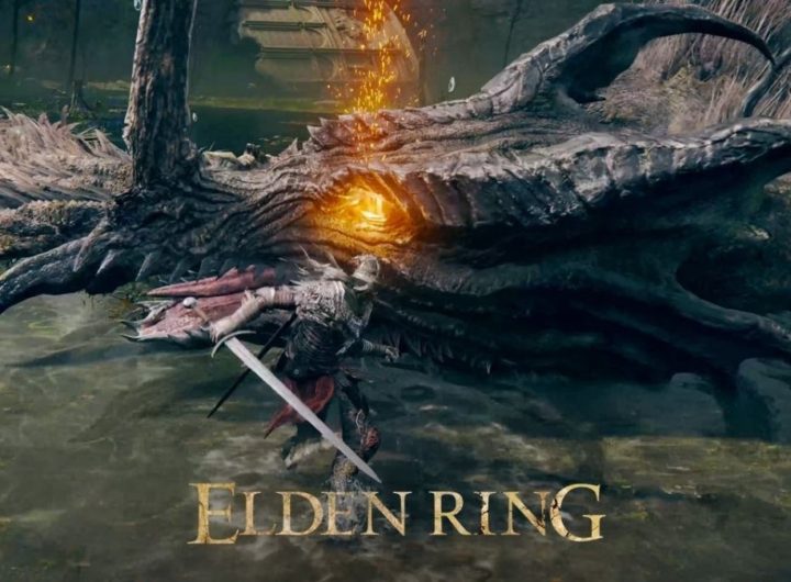 Elden Ring Feature