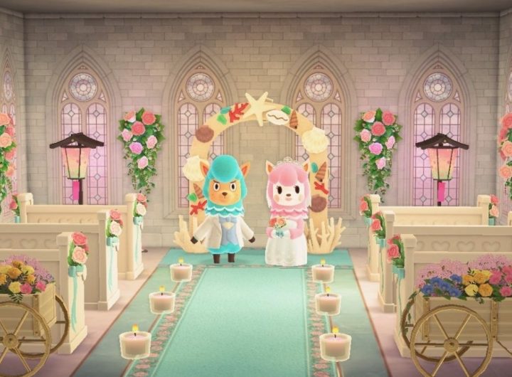 Animal Crossing June To-Do List – Events, Birthdays, Gathering etc Feature
