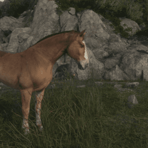 How to buy a horse in Kingdom Come: Deliverance at the very beginning of the game Feature