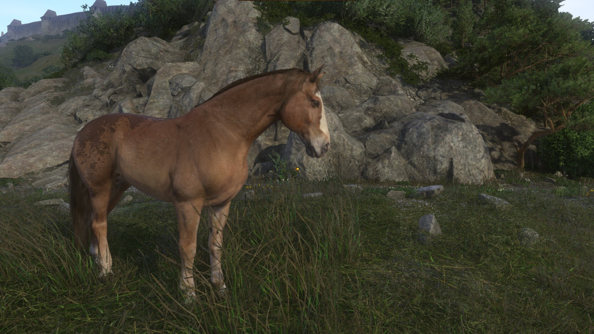 How to buy a horse in Kingdom Come: Deliverance at the very beginning of the game Feature